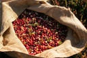 Alwaal Albari Ethiopia Sidamo 200G
