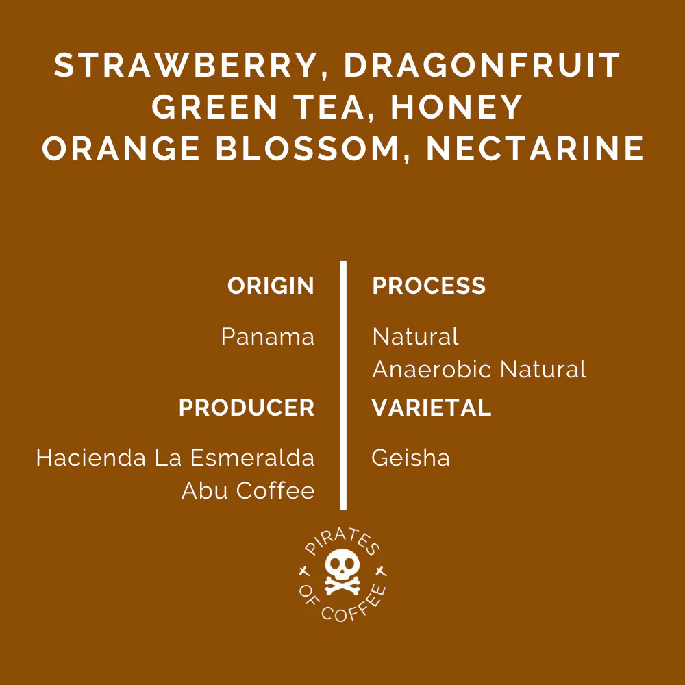 Pirates Red Dragon - Panama Competition Bend (100g)