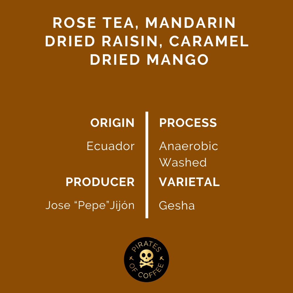 Pirates Pepe Rose Gesha - Ecuador Anaerobic Washed (100g)