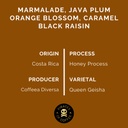 Pirates Costa Rica Honey Geisha - Costa Rica Honey (100g)