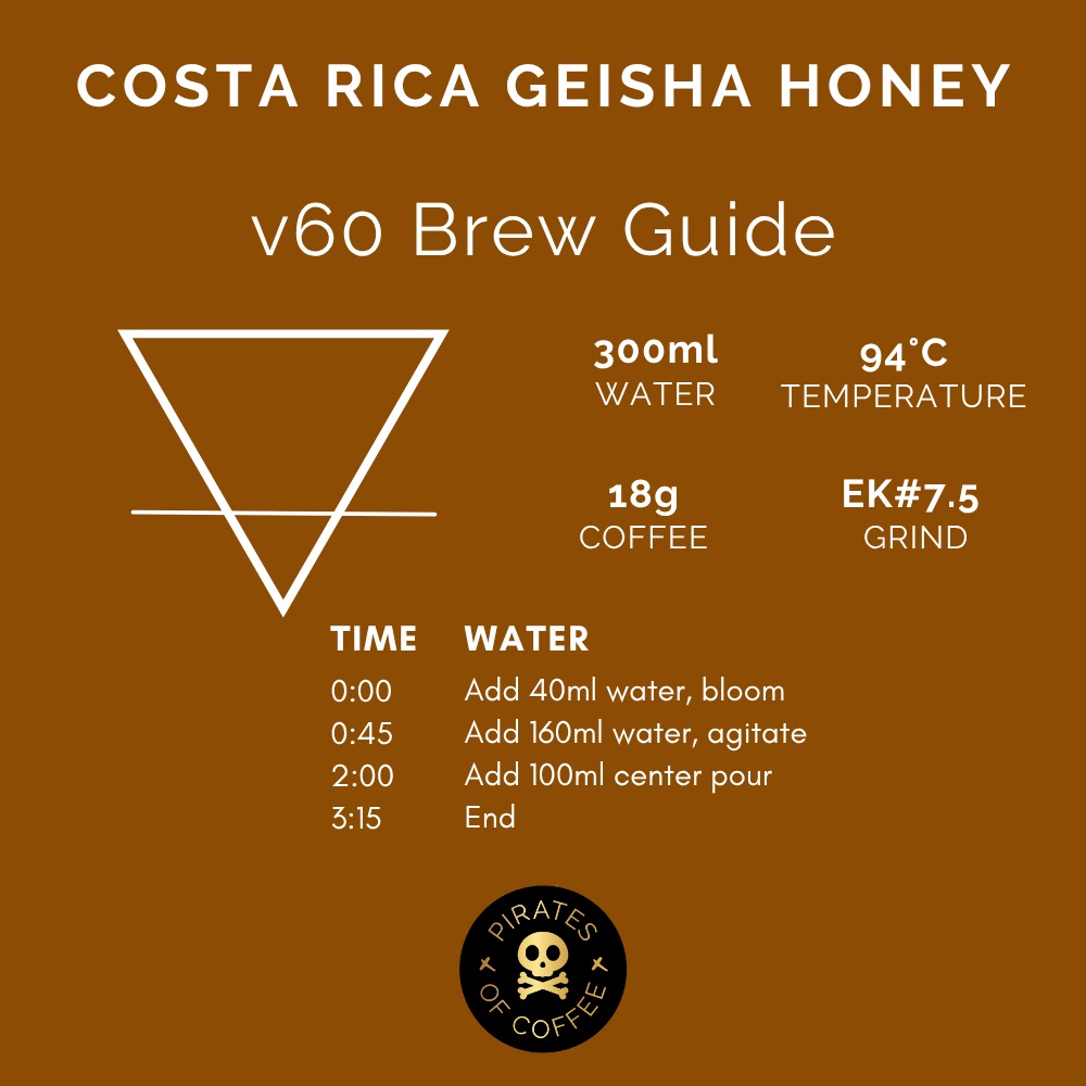 Pirates Costa Rica Honey Geisha - Costa Rica Honey (100g)