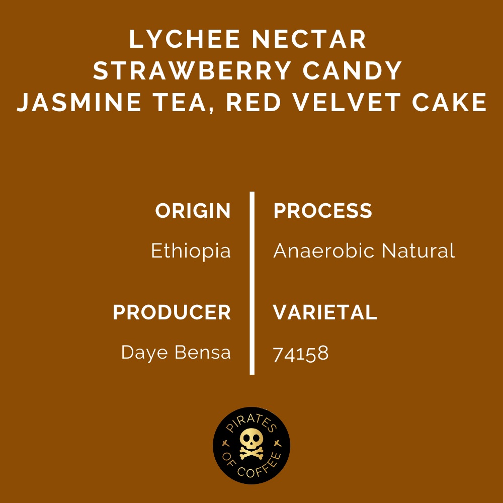 Pirates Shantawene Anaerobic Espresso - Ethiopia Anaerobic Natural (250g)