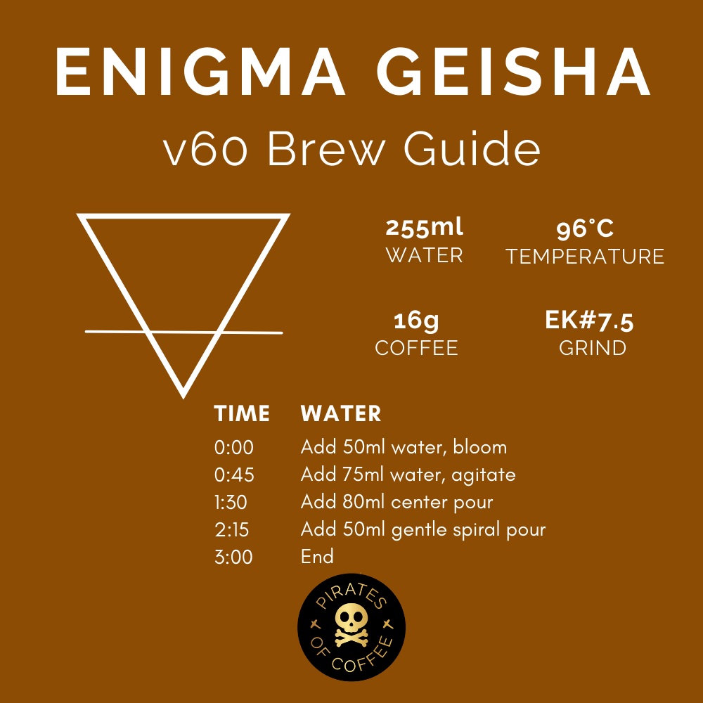 Pirates Enigma Geisha - Panama CM Natural (100g)