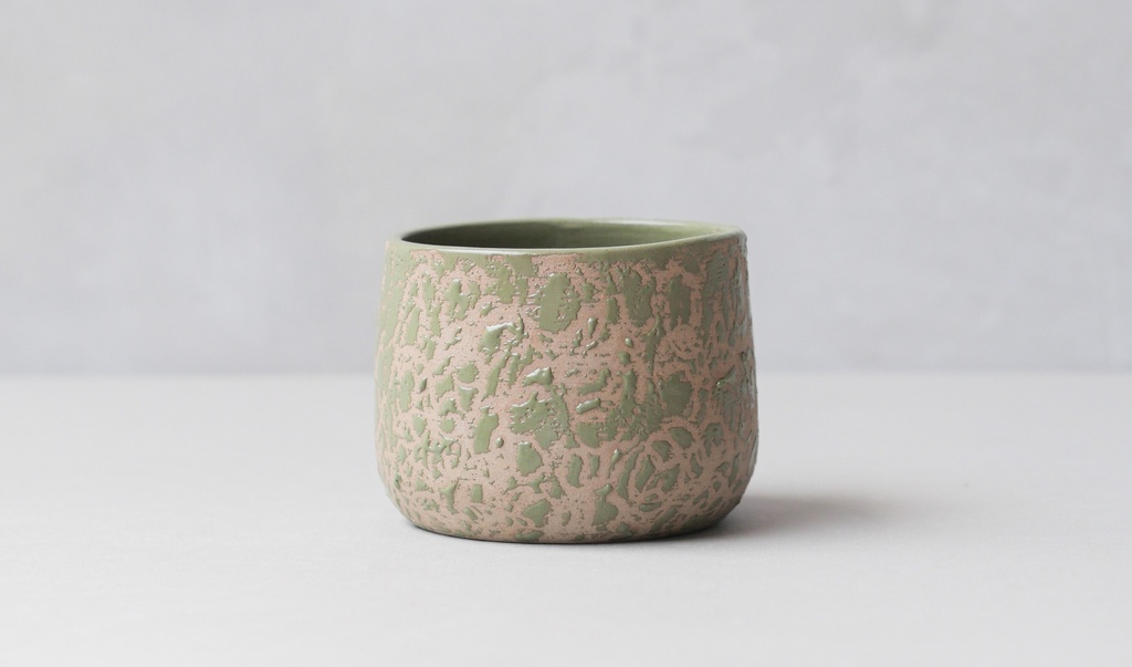 Kaloka C29 L Anomaly Sage