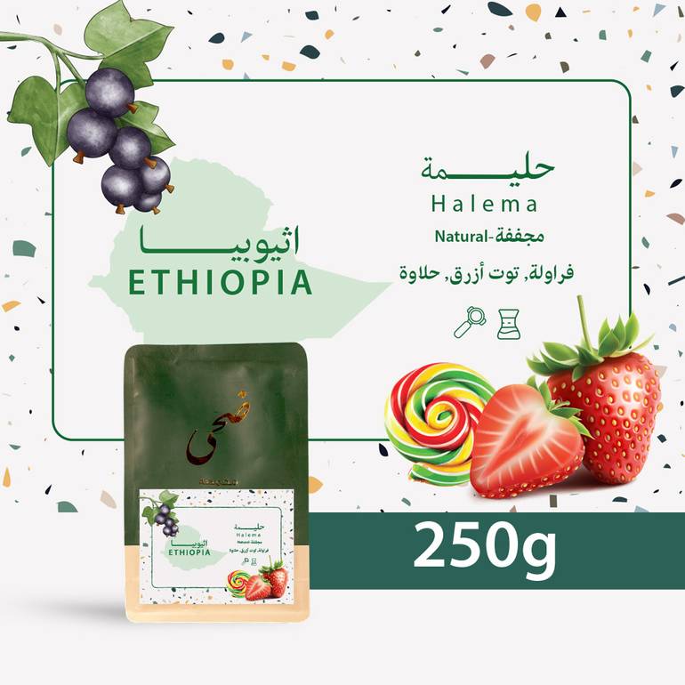 Doha Roasters Ethiopia Halema 250 G