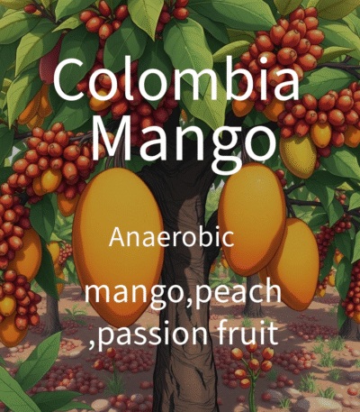 Alez | Colombia Mango 250G