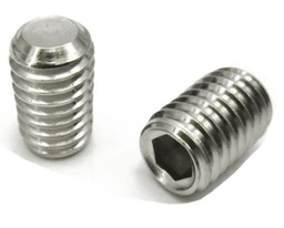 [SX01370] LM Shower Stainless Steel Screw M6 A.5.110