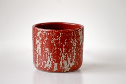 [SX01545] Kaloka C11 M Anomaly Samba