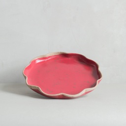 [SX01571] Kaloka P12 L Twinkle Tango