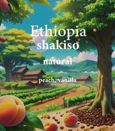 [SX03706] Alez | Ethiopia Shakiso 250G